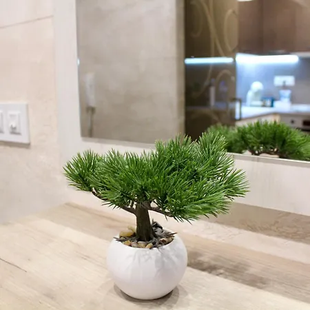 Apartment Cozy By The Sea Burgas